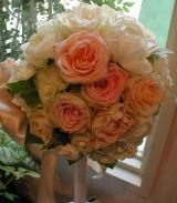 �饦��ɥ֡���